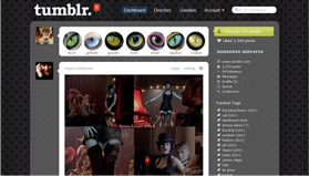 Tumblr Dashboard Cat-Eye
