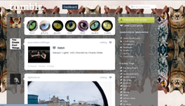 Tumblr Dashboard Cat 2