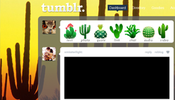 Tumblr Dashboard Cactus