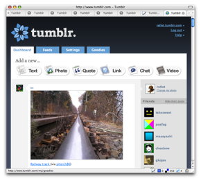 Tumblr Dashboard Big Photos