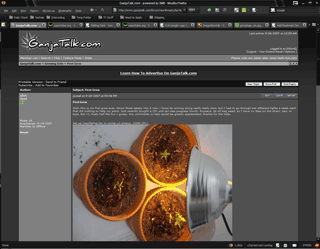 Dark - GanjaTalk Forums