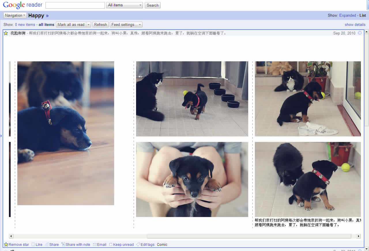 Google Reader 2 Columns