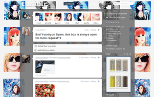 2NE1 Dashboard and Icons