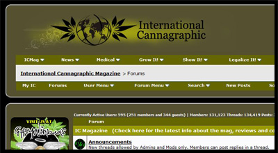 applies another design to icmag.com  v.0.5