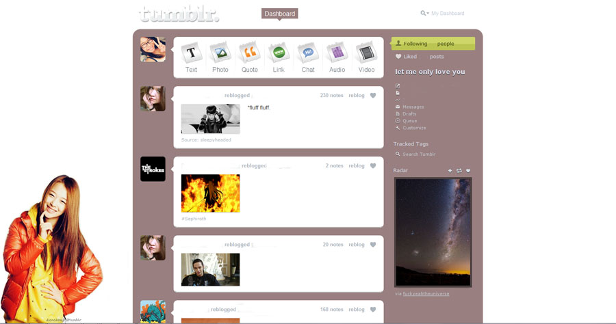 F(x)'s Sulli Tumblr Dashboard Theme
