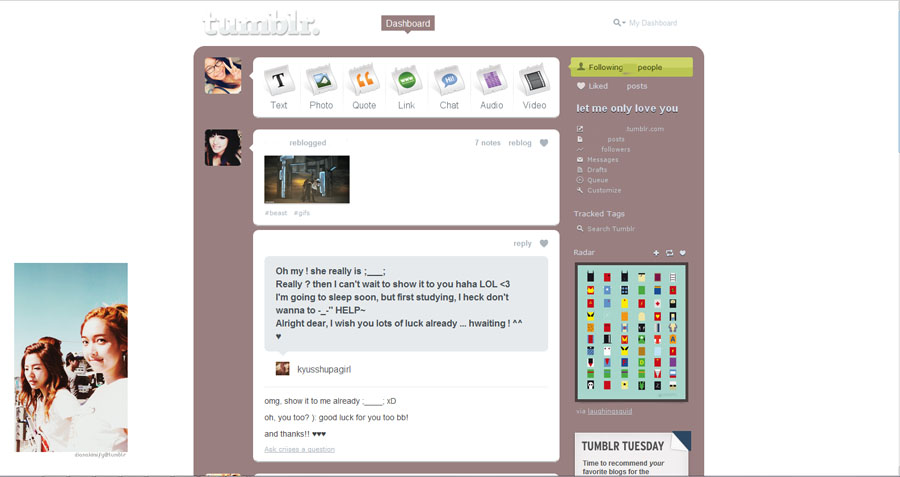 SNSD's Sunny & Jessica Tumblr Dashboard Theme
