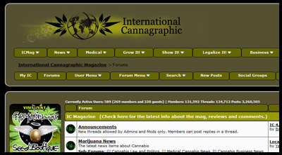 applies another design to icmag.com v.0.6