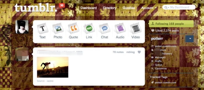 Hogwarts house - Gryffindor