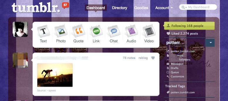 Hogwarts House - Ravenclaw