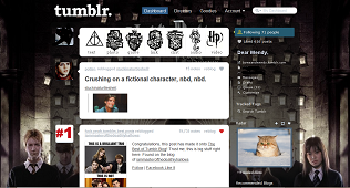 Harry Potter and The Order of the Phoenix Tumblr