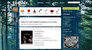 harry potter forest tumblr dashboard