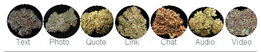 weed links