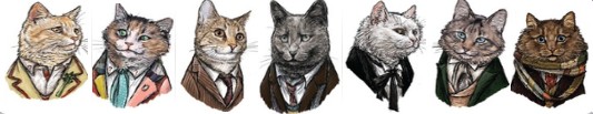 dr who cats