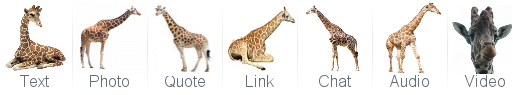 giraffe tumblr links