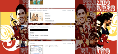 fernando torres 9