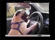 Youtube.com - Perfect Presentation Format