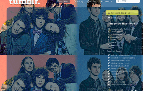 MGMT SNL BACKGROUND