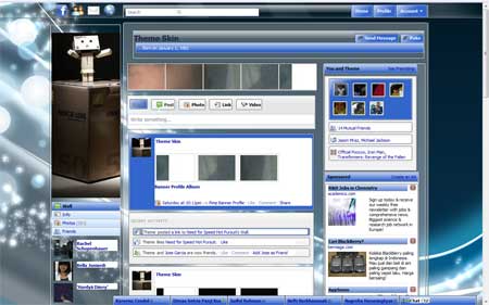 Facebook skin 2011