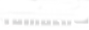 Tumblr logo, Doctor Who (white w/shadow-ish stuff)