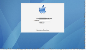 Gmail Log-In Screen