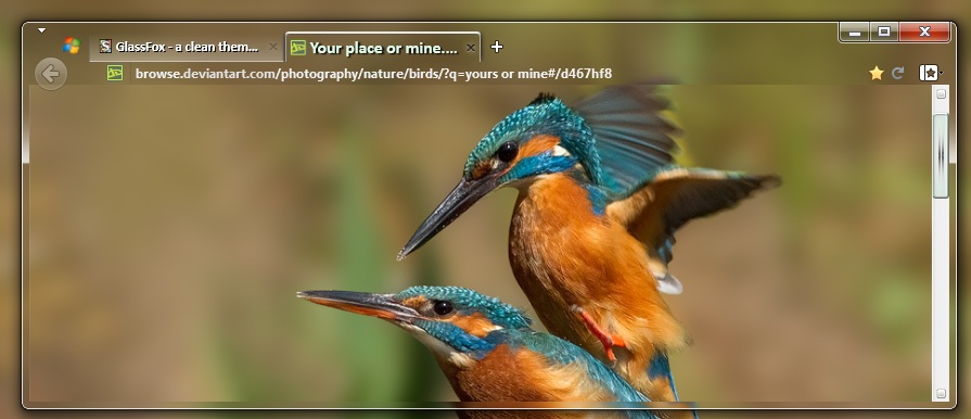 GlassFox - a clean theme