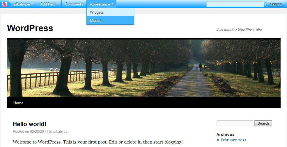 Wordpress Self-Hosted Admin Bar Remix - Blue