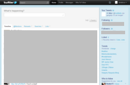 Twitter (new style) - wider message & thinner side