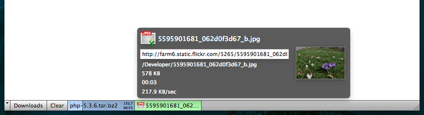 Firefox 4 OS X - Download Statusbar (slim)