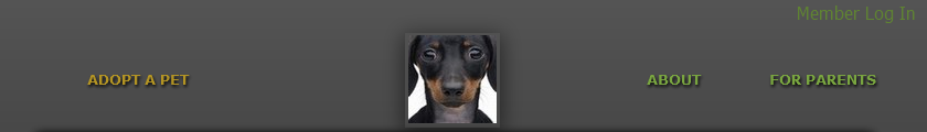 Foopets.com Black