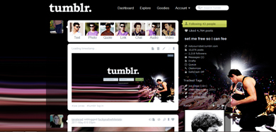 joe jonas concert dash/menu