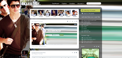 nick jonas tumblr dash/menu 3
