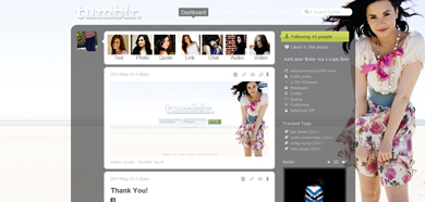 demi lovato dash theme/menu