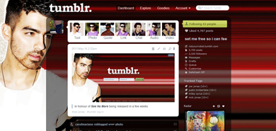 joe jonas see no more dash theme/menu