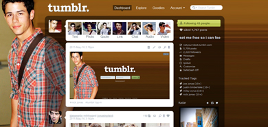 nick jonas tumblr dash/menu 4