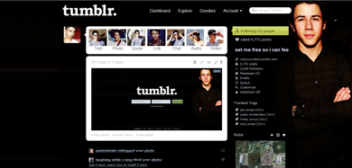 nick jonas dash theme/menu