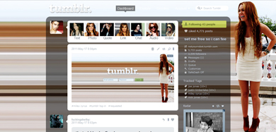 miley cyrus dash theme/menu