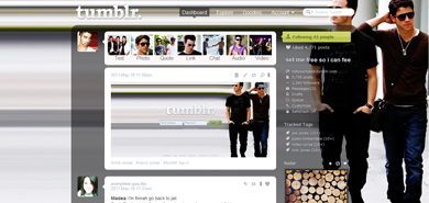 nick and kevin jonas theme/menu