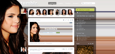 selena theme/menu