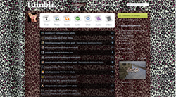 Cheetah print dash theme