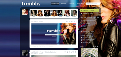 miley cyrus concert theme/menu