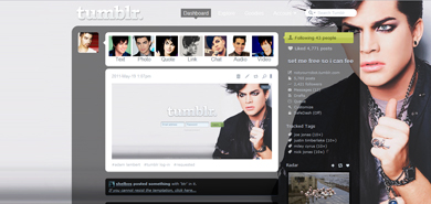 adam lambert theme/menu