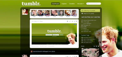 prince harry theme/menu