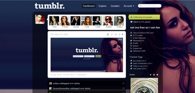 miley cyrus theme/menu