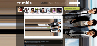 jonas brothers theme/menu