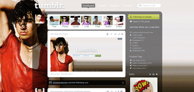 joe jonas wet instyle theme/menu