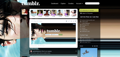 joe jonas pool theme/menu