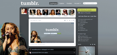 miley cyrus gypsy heart tour theme/menu