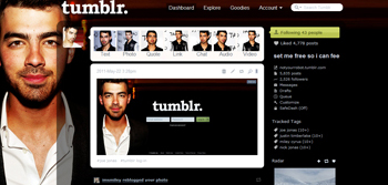 joe jonas theme/menu (larger resolution)