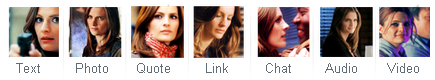 Castle - Kate Beckett Tumblr Dashboard Menu