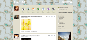 Tumblr Feather dashboard theme - Aqua